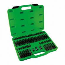 CASE WITH 75 BITS FOR HEXAGONAL, XZN, TORX TAMPER-PROOF AND RIBE